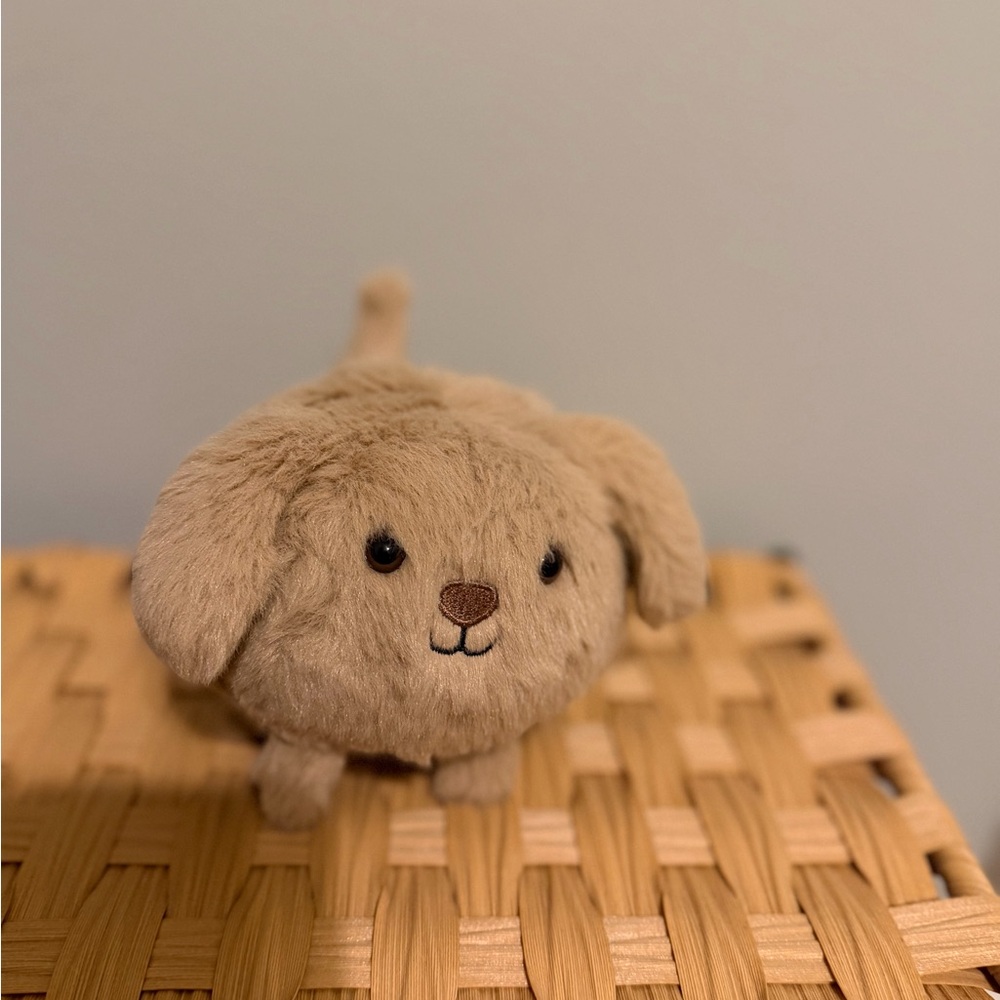 Caboodle puppy Jellycat